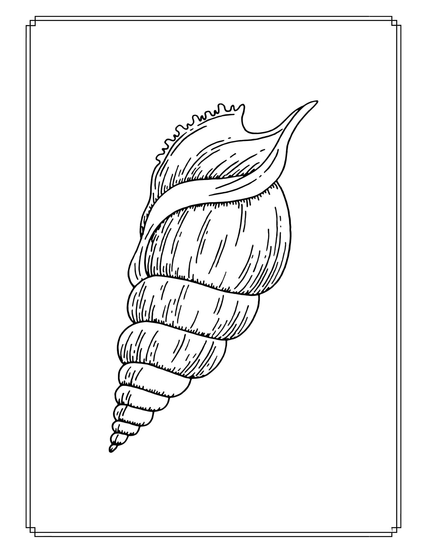 Seashell Coloring Book